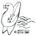Mighty Otter Surfboards